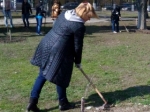 Во время месячника по благоустройству благоустроено 354 сквера и аллеи  