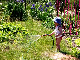 В Саратове заработали ярмарки для садоводов, огородников и дачников