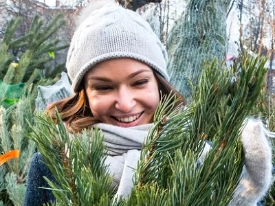 В Саратове и Энгельсе откроются елочные базары