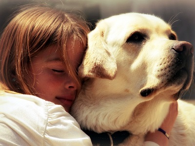 Российские кинологи назвали самых популярных собак года