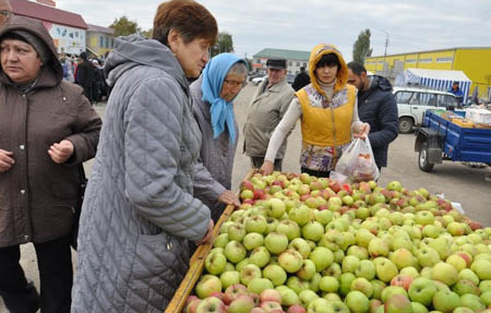 В субботу аткарчане смогли приобрести экологически чистую продукцию по приемлемой цене